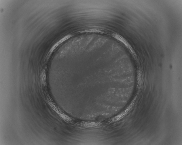 X0000085040826200703261309