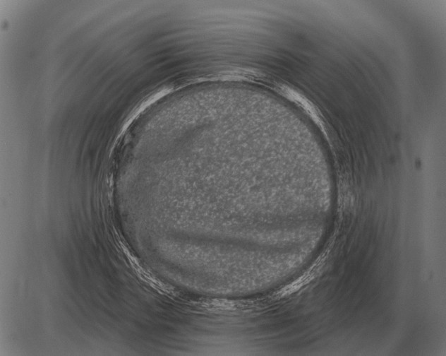 X0000085040827200703261309