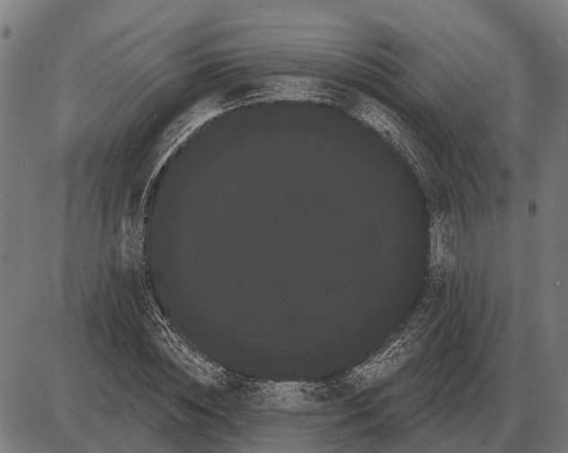 X0000085040828200703261309