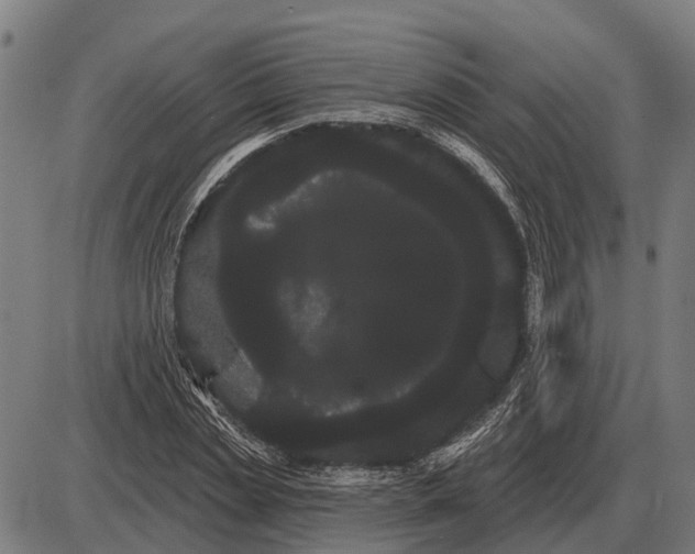 X0000085040829200703261310