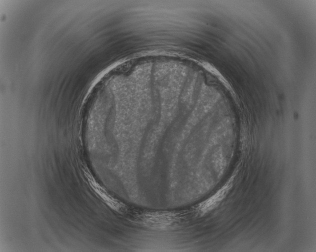 X0000085040830200703261310