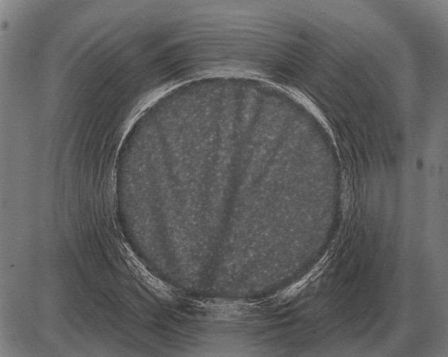 X0000085040831200703261310