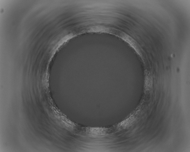 X0000085040832200703261310