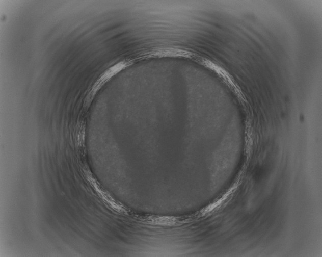 X0000085040833200703261310