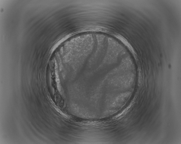 X0000085040834200703261310