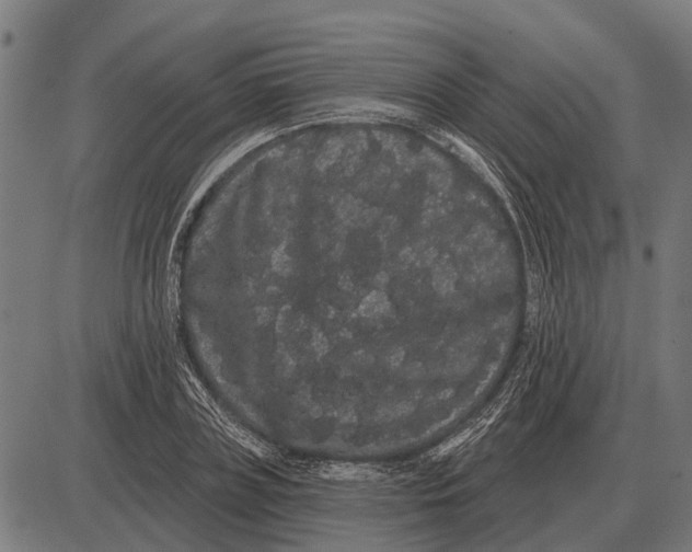 X0000085040835200703261310