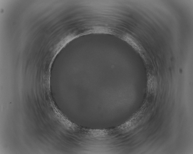 X0000085040836200703261310