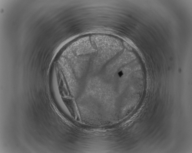 X0000085040838200703261310