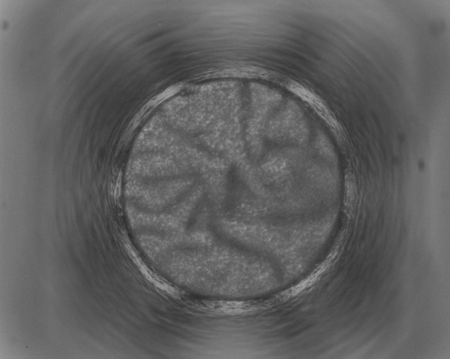 X0000085040841200703261310