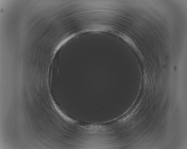 X0000085040842200703261310