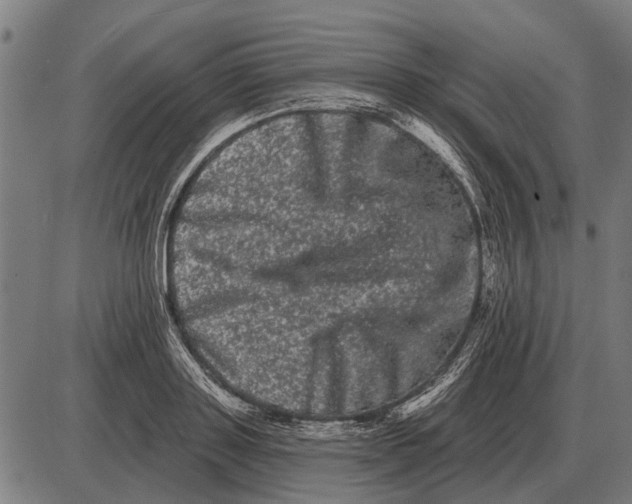 X0000085040843200703261310