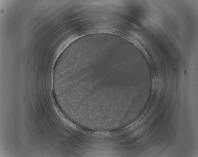 X0000085040844200703261310