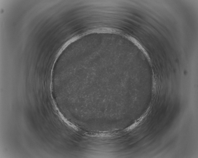 X0000085040845200703261310