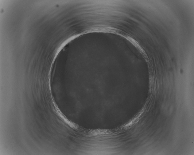 X0000085040846200703261310