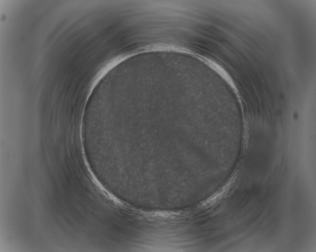 X0000085040847200703261310