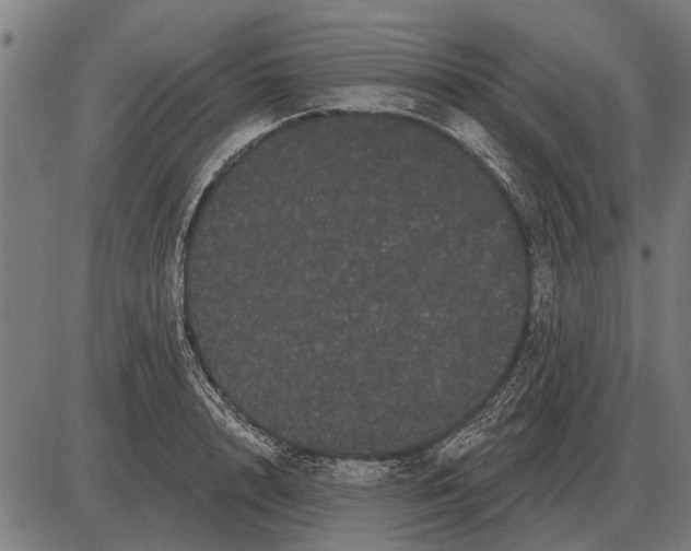 X0000085040848200703261310