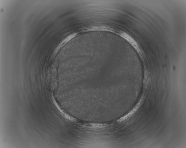 X0000085040849200703261310