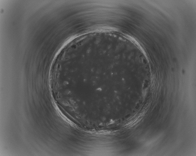 X0000085040851200703261310