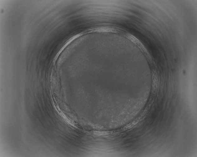 X0000085040852200703261310