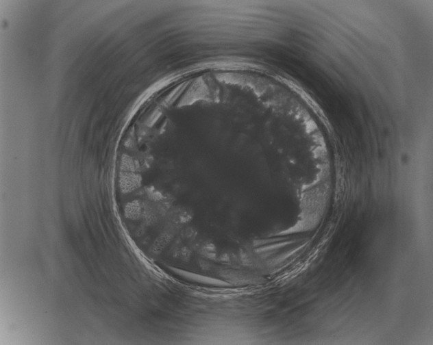 X0000085040853200703261310