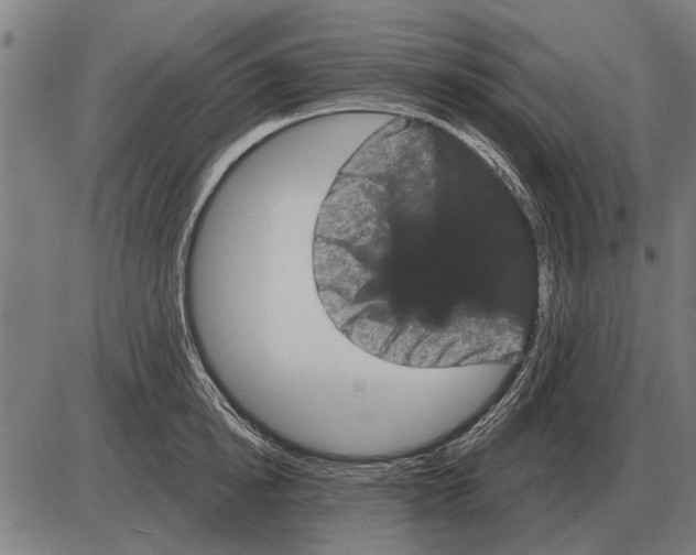 X0000085040854200703261310