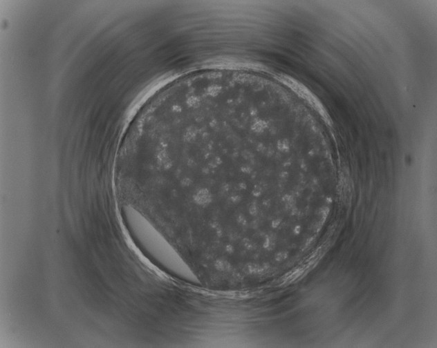 X0000085040855200703261310