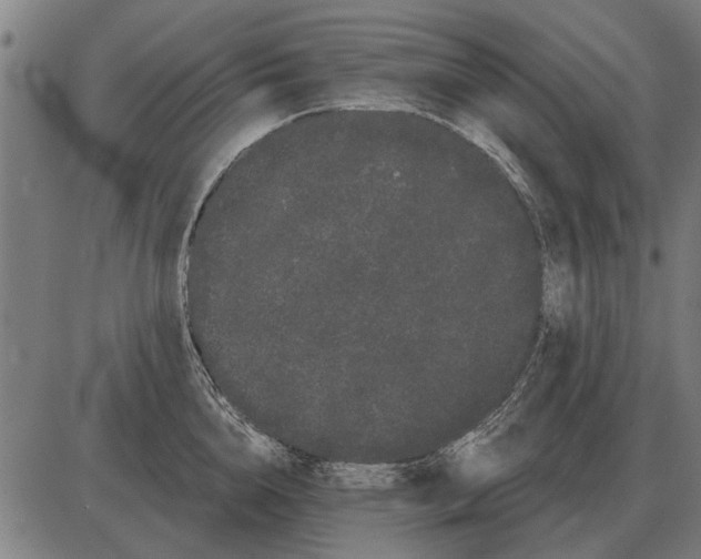 X0000085040856200703261310