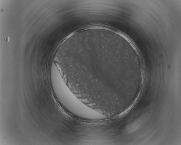 X0000085040857200703261310