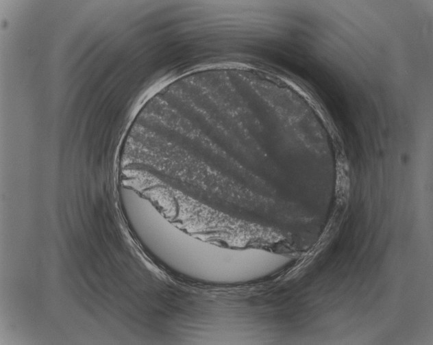 X0000085040858200703261310