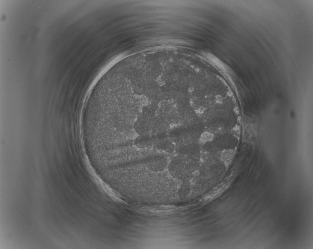 X0000085040859200703261310