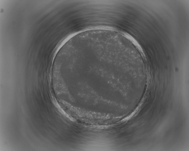 X0000085040860200703261310