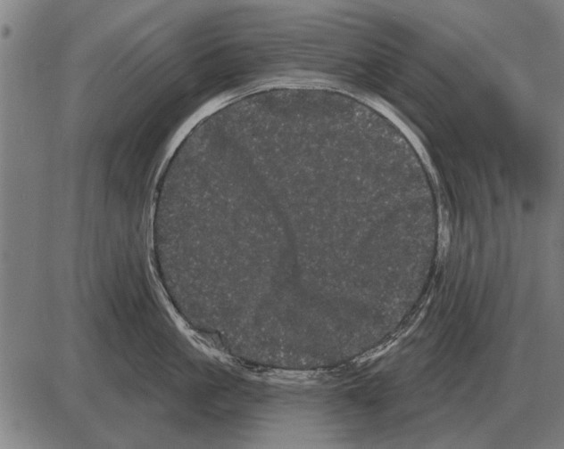 X0000085040861200703261310