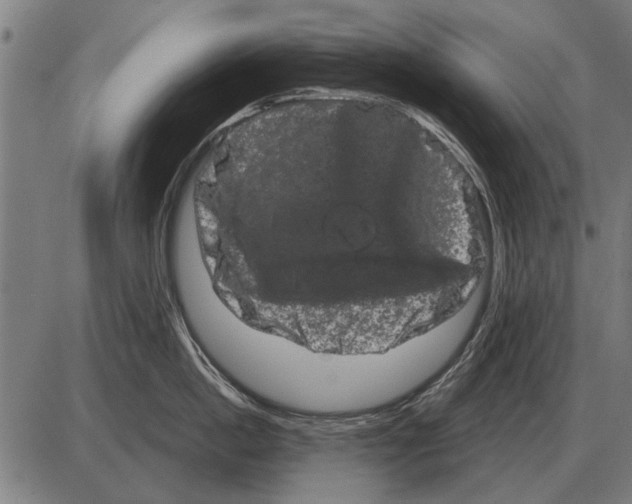 X0000085040862200703261310