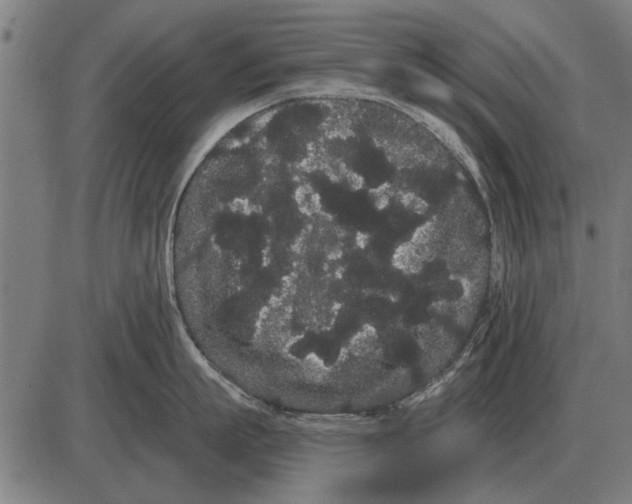 X0000085040863200703261310