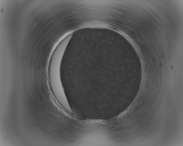 X0000085040864200703261310