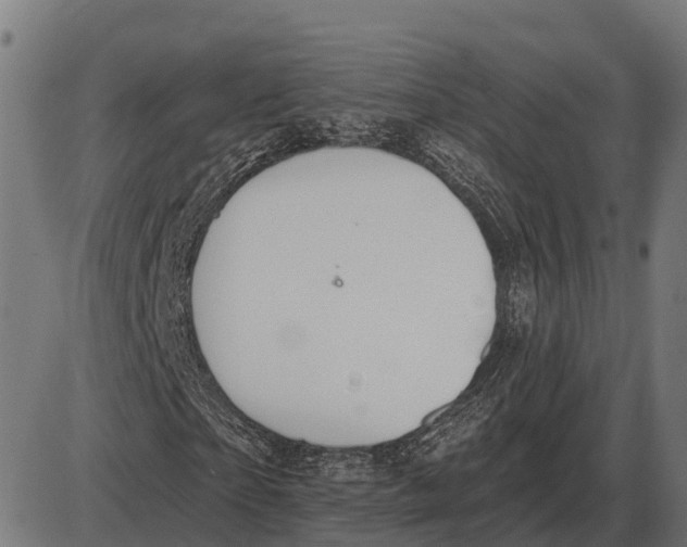 X0000085040865200703261309