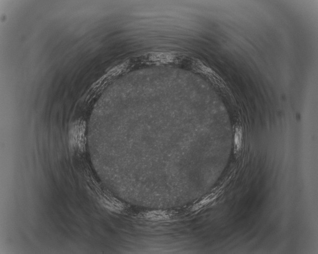 X0000085040867200703261309