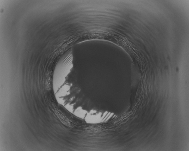 X0000085040868200703261309