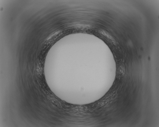 X0000085040869200703261309