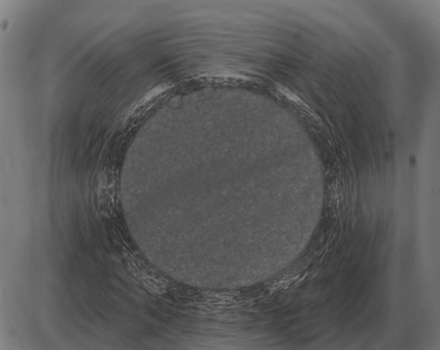 X0000085040870200703261309