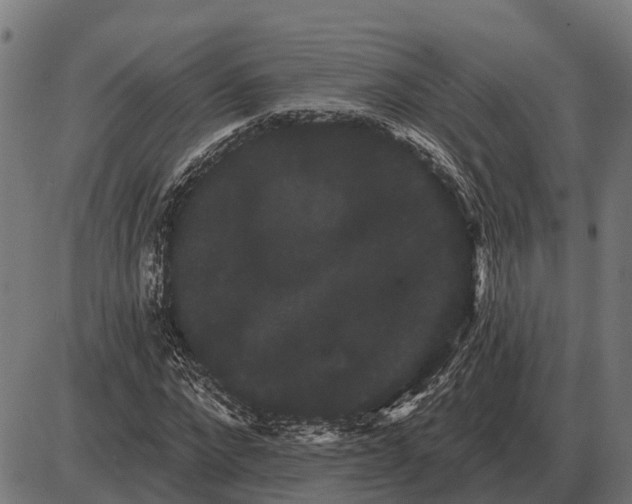 X0000085040872200703261309