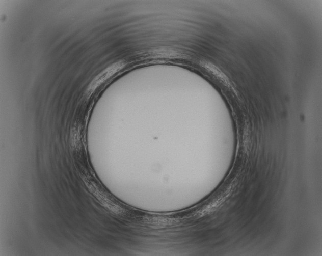 X0000085040873200703261309