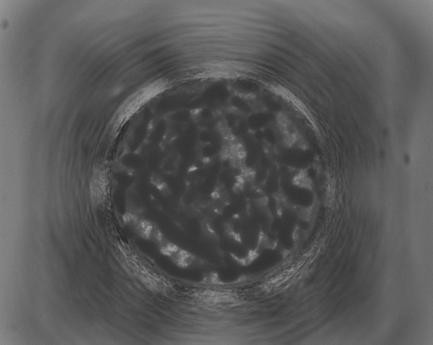 X0000085040874200703261309