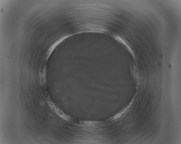 X0000085040875200703261309