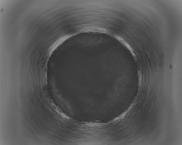 X0000085040877200703261309