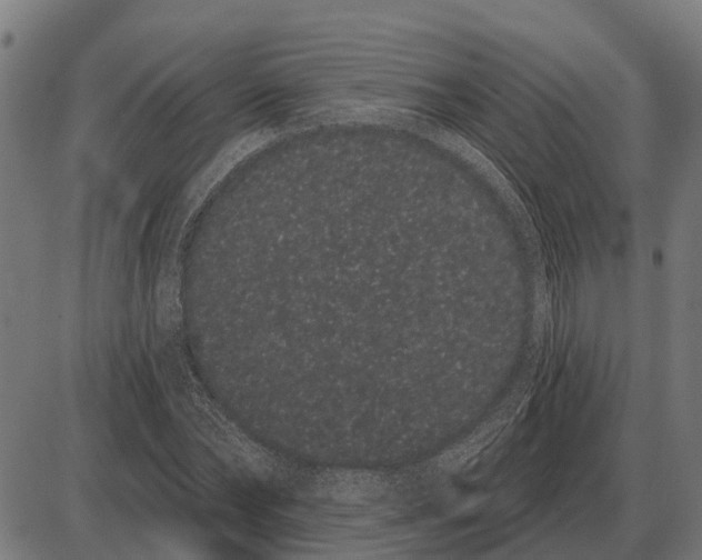 X0000085040878200703261309