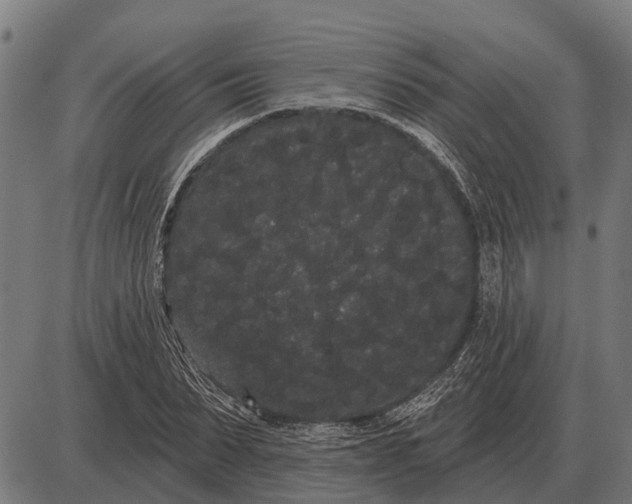 X0000085040879200703261309