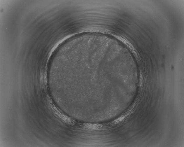 X0000085040880200703261309