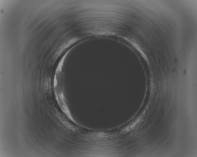 X0000085040881200703261309