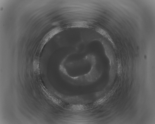 X0000085040882200703261309